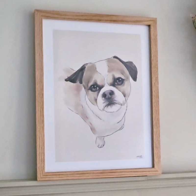 Retrato personalizado de tu mascota dibujado en acuarela Video 1