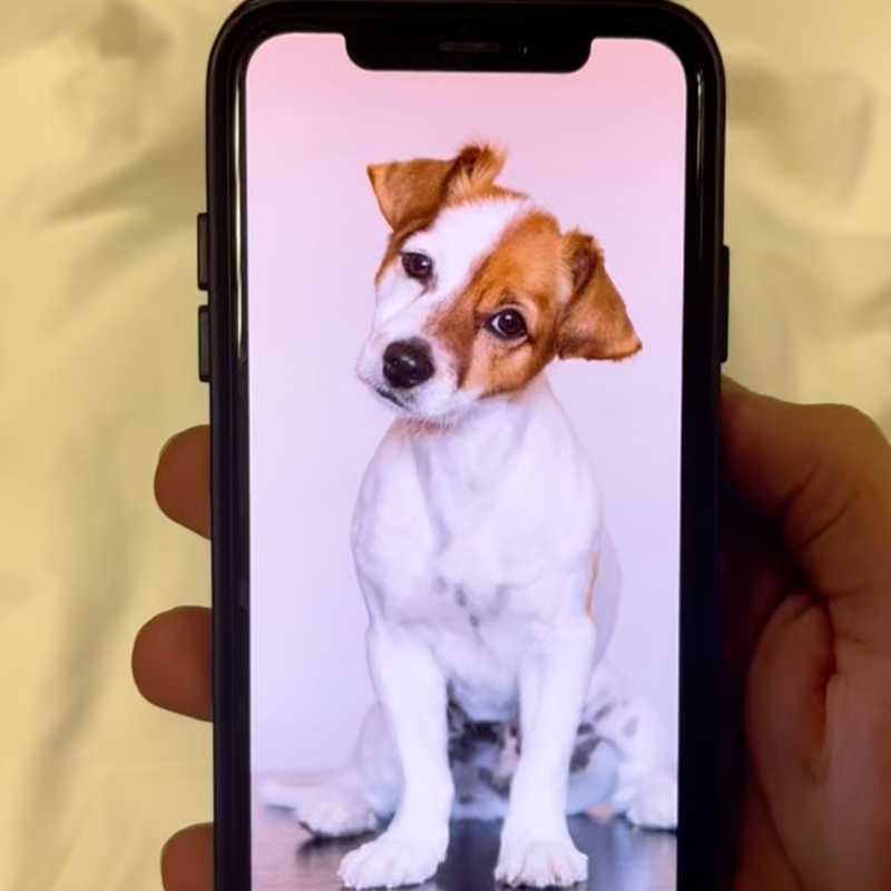 Felpa ricamata personalizzata Video 1