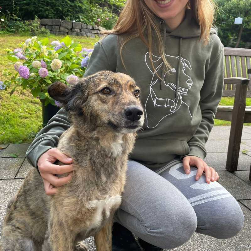 Sudaderas bordadas personalizadas Product Image 4